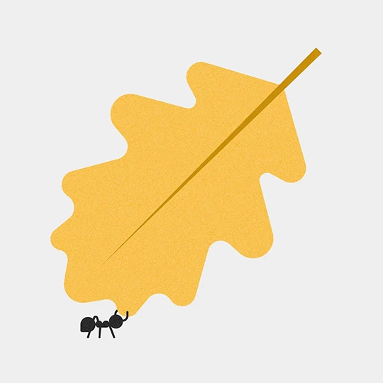 Andrea Vercetti - Ant